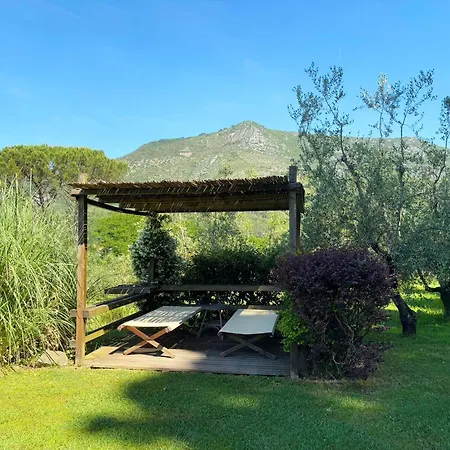 Il Palazzaccio - Natura, Piscina & Relax A Lejlighed