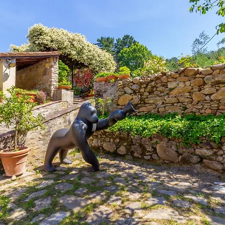 Il Palazzaccio - Natura, Piscina & Relax A Lejlighed *