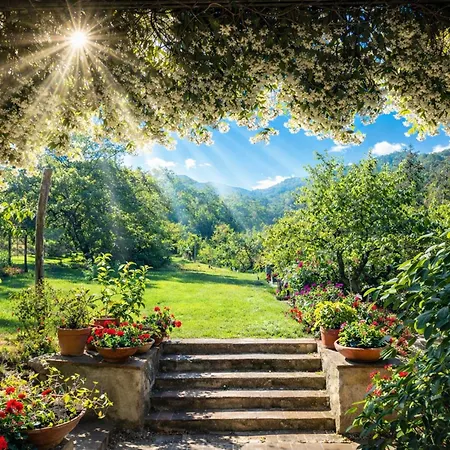 Il Palazzaccio - Natura, Piscina & Relax A Lucca
